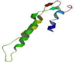 Myelin And Lymphocyte Protein 2 (MAL2)