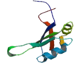 Myelin Expression Factor 2 (MYEF2)