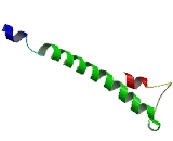 Myelin Proteolipid Protein Like Protein (PLPL)