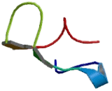 Myelin Transcription Factor 1 (MYT1)