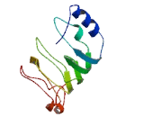 Myelodysplastic Syndrome 2 Translocation Associated Protein (MDS2)