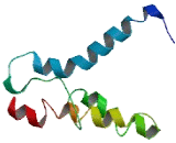 Myeloid Associated Differentiation Marker (MYADM)