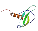 Myeloid Progenitor Inhibitory Factor 2 (MPIF2)