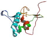 Myeloma Overexpressed Protein 2 (MYEOV2)