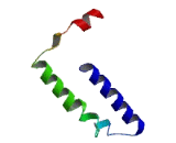 Myopathy With Excessive Autophagy (MEAX)