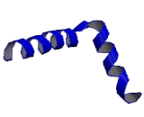 Myosin Heavy Chain 16 (MYH16)