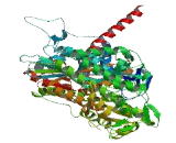 Myosin Heavy Chain 7B, Cardiac Muscle Beta (MYH7B)