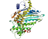 Myosin IXB (MYO9B)