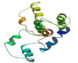 Myosin Light Chain, Phosphorylatable, Fast Skeletal Muscle (MYLPF)