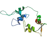 Myosin Light Chain 1 (MYL1)