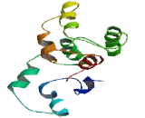 Myosin Light Chain 10, Regulatory (MYL10)