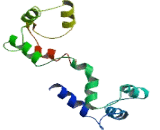 Myosin Light Chain 12A (MYL12A)