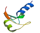 Myosin Regulatory Light Chain Interacting Protein (MYLIP)