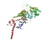 Myosin VC (MYO5C)