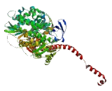 Myosin X (MYO10)