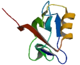 Myosin XVIIIA (MYO18A)