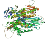 Myosin XVIIIB (MYO18B)