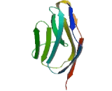 Myotilin (MYOT)