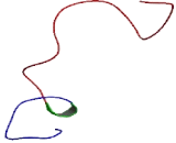 Myotubularin Related Protein 10 (MTMR10)