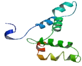 Myotubularin Related Protein 14 (MTMR14)