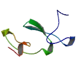 Myotubularin Related Protein 3 (MTMR3)