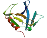 Myotubularin Related Protein 5 (MTMR5)