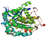 Myotubularin Related Protein 6 (MTMR6)