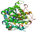 Myotubularin Related Protein 9 (MTMR9)