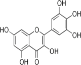 Myricetin (Myr)