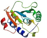 N-6-Adenine Specific DNA Methyltransferase 1 (N6AMT1)