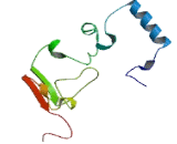 N-Acetyl Alpha-D-Glucosaminidase (NAGLU)