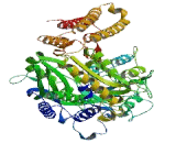 N-Acetylated Alpha Linked Acidic Dipeptidase 2 (NAaLAD2)