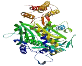 N-Acetylated Alpha Linked Acidic Dipeptidase Like Protein 2 (NAaLADL2)