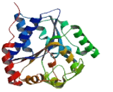 N-Acetylglucosamine-1-Phosphate Transferase Alpha And Beta (GNPTab)