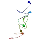 N-Acetylglucosamine-1-Phosphodiester Alpha-N-Acetylglucosaminidase (NAGPa)