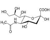 N-Acetylneuraminic Acid (NANA)