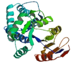 N-Acetylneuraminic Acid Phosphatase (NANP)