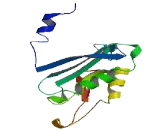 N-Acetyltransferase 9 (NAT9)