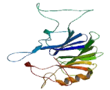 N-Acyl Phosphatidylethanolamine Phospholipase D (NAPEPLD)