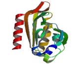 N-Acylaminoacyl Peptide Hydrolase (APEH)