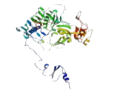 N-Acylsphingosine Amidohydrolase 2B (ASAH2B)