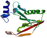 N-Alpha-Acetyltransferase 10 (NaA10)