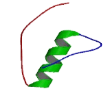 N-Alpha-Acetyltransferase 11 (NaA11)