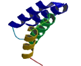 N-Alpha-Acetyltransferase 15 (NaA15)