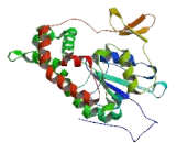 N-Deacetylase/N-Sulfotransferase 1 (NDST1)