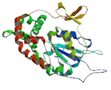 N-Deacetylase/N-Sulfotransferase 3 (NDST3)