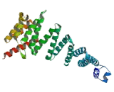 N-Ethylmaleimide Sensitive Factor Attachment Protein Alpha (NAPa)