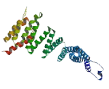 N-Ethylmaleimide Sensitive Factor Attachment Protein Beta (NAPb)