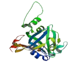 N-Methylpurine DNA Glycosylase (MPG)