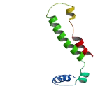 N-myc Interactor (NMI)